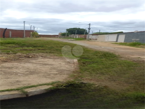 Venda Terreno Petrolina Antônio Cassimiro 1
