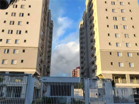 Aluguel Apartamento Santo André Vila São Pedro 1
