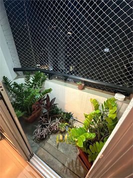 Venda Apartamento São Paulo Perdizes 1
