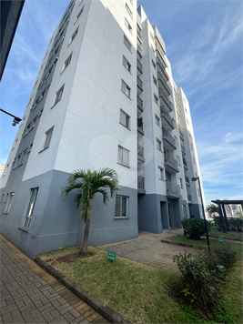 Venda Apartamento São Paulo Vila Palmeiras 1