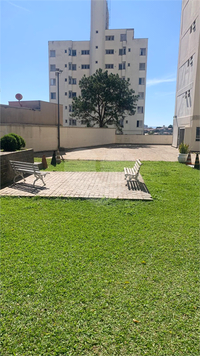 Venda Apartamento São Paulo Jardim Morro Verde 1