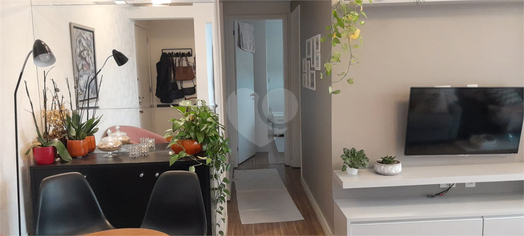 Venda Apartamento São Paulo Vila Sônia 1