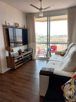 Venda Apartamento Campinas Cidade Jardim 1