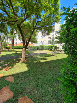 Venda Apartamento Ribeirão Preto Jardim São José 1