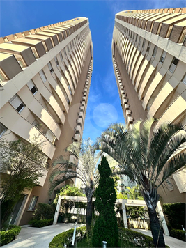 Aluguel Apartamento São Paulo Vila Pompéia 1