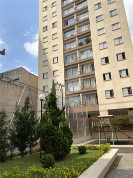 Aluguel Apartamento São Paulo Nova Piraju 1
