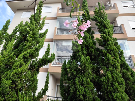 Aluguel Apartamento Vinhedo Vista Alegre 1