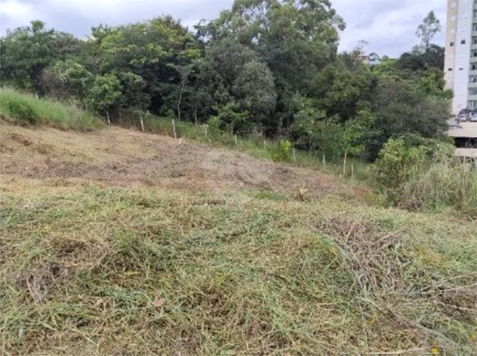 Venda Loteamento Várzea Paulista Vila Santa Terezinha 1