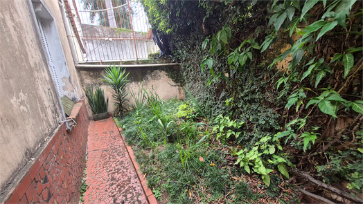 Venda Terreno São Paulo Vila Isolina Mazzei 1