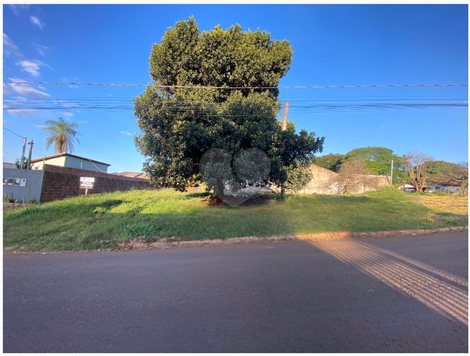 Venda Terreno Ponta Porã Vila Áurea 1