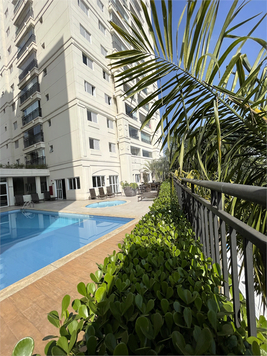 Aluguel Apartamento Osasco Vila Osasco 1