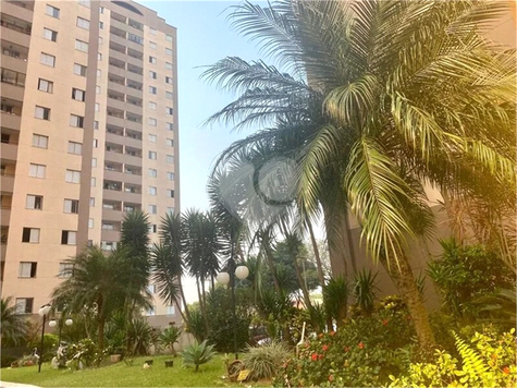 Aluguel Apartamento Santo André Vila Camilópolis 1
