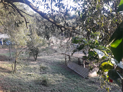 Venda Terreno São Roque Vinhedos 1