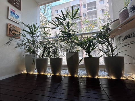 Venda Apartamento São Paulo Vila Polopoli 1