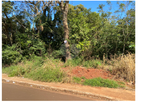 Venda Terreno Ponta Porã Jardim Altos Da Glória 1