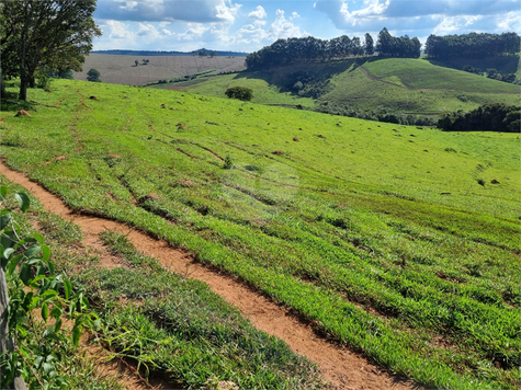 Venda Fazenda Caldas Centro 1