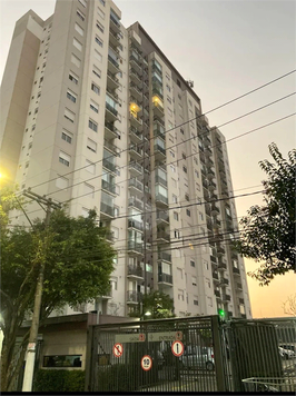 Aluguel Apartamento São Paulo Vila Carioca 1