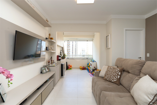 The Spotlight Perdizes