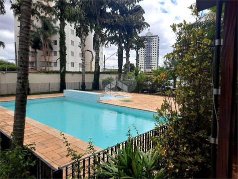 Venda Apartamento São Paulo Vila Matilde 1