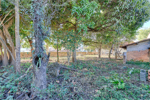 Venda Terreno São Paulo Vila Cordeiro 1
