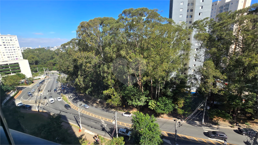 Aluguel Apartamento São Paulo Jardim Íris 1