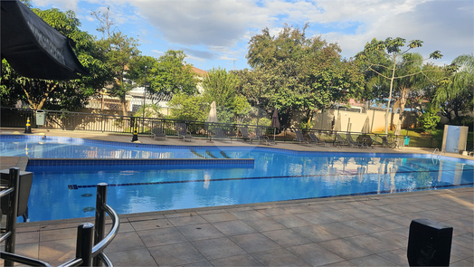 Aluguel Apartamento São Paulo Parque Independência 1