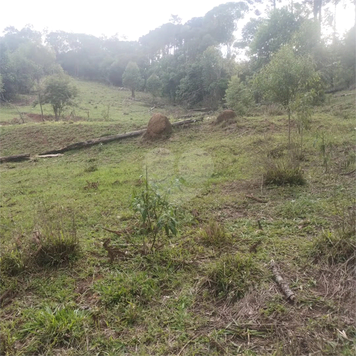 Venda Terreno São Roque Centro (canguera) 1