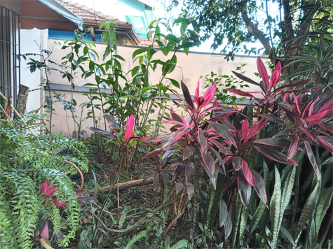 Venda Sobrado São Paulo Jardim Alzira 1