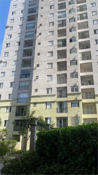 Aluguel Apartamento São Paulo Parque Maria Domitila 1