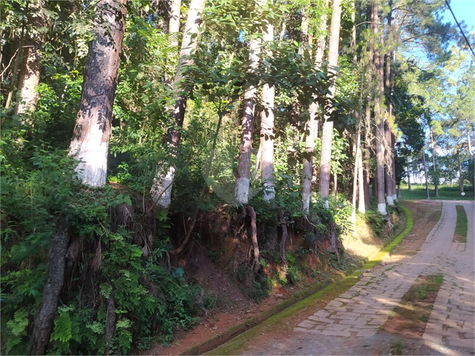 Venda Terreno São Roque Centro (mailasqui) 1