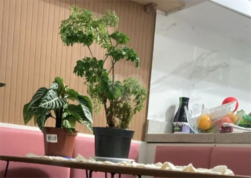 Venda Studio São Paulo Vila Prudente 1