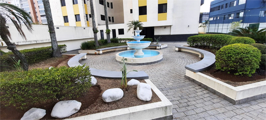 GEMELLI DI FRANCESCO