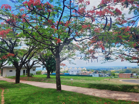Venda Loteamento Indaiatuba Jardim Villa Sapezal 1