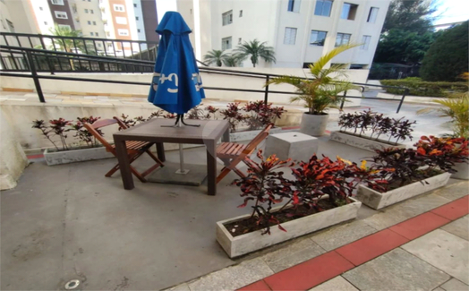 Aluguel Apartamento São Paulo Vila Gomes Cardim 1