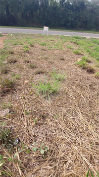 Venda Terreno Indaiatuba Vila Florença 1