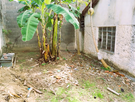 Aluguel Terreno São Paulo Vila São Luís(zona Oeste) 1