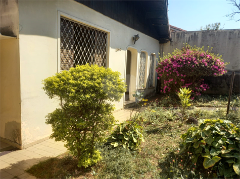 Venda Casa São Paulo Vila Santo Antônio 1