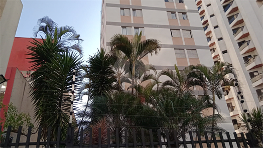 Condomínio Edifício Célia