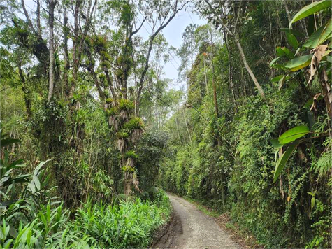 Venda Terreno Santo André Jardim Joaquim Eugênio De Lima 1