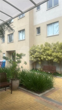 Aluguel Apartamento São Paulo Cambuci 1