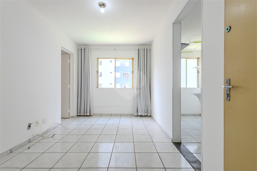 Aluguel Apartamento São Paulo Ipiranga 1