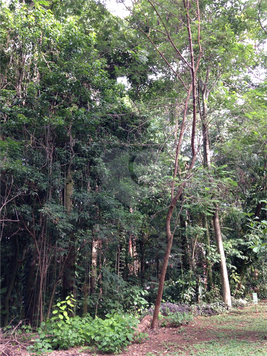 Venda Terreno Campinas Jardim Santana 1