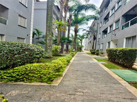 Venda Apartamento Santo André Vila São Pedro 1
