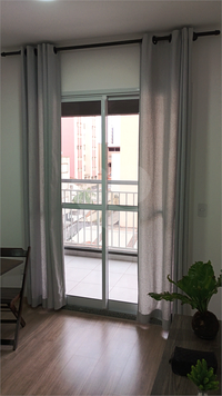 Aluguel Apartamento Campinas Centro 1