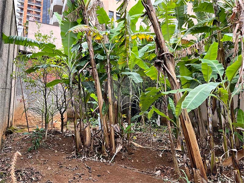 Venda Terreno São Paulo Santana 1