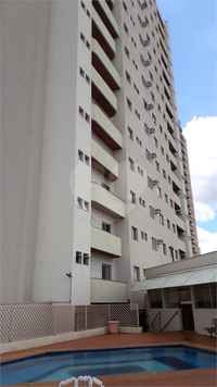 Aluguel Apartamento Araraquara Centro 1