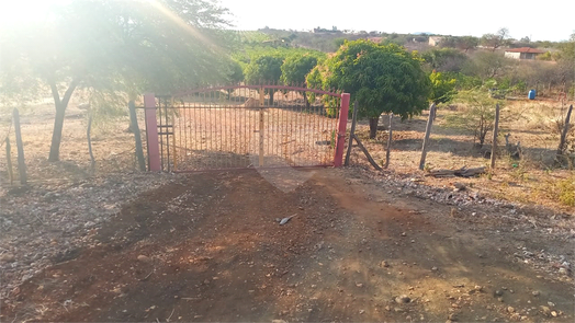 Aluguel Chácara Petrolina Área Rural De Petrolina 1