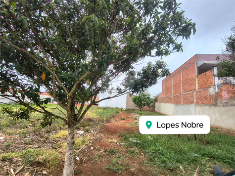 Venda Terreno Itapetininga Portal Dos Pinheiros Ii 1