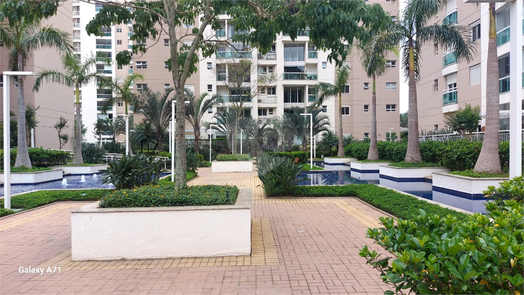 Aluguel Apartamento Santana De Parnaíba Tamboré 1