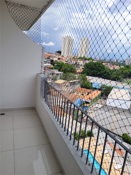 JARDIM DAS CEREJEIRAS